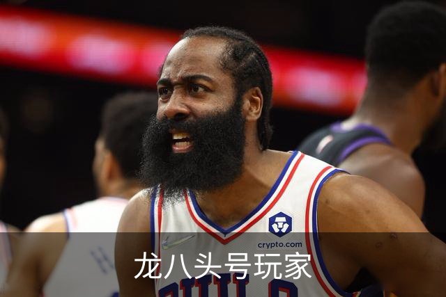 龙八头号玩家公司简介配图
